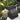 Chiara - Outdoor Accent Pouf - Black